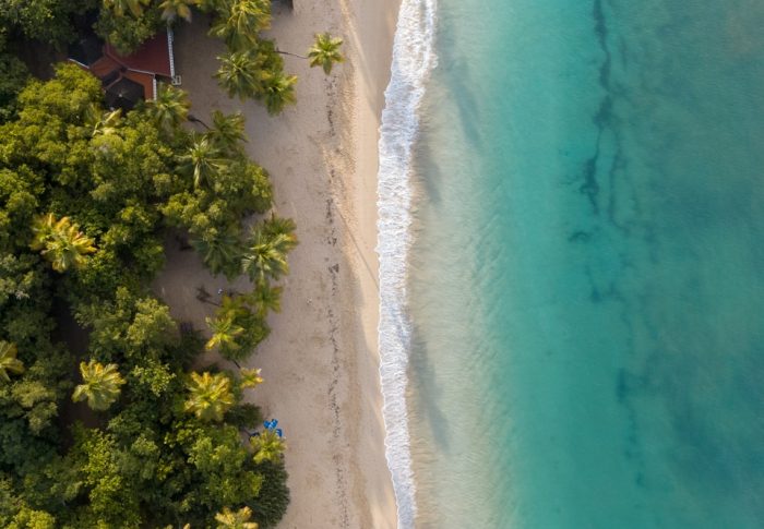 guide touristique martinique : île des fleurs aux mille atouts