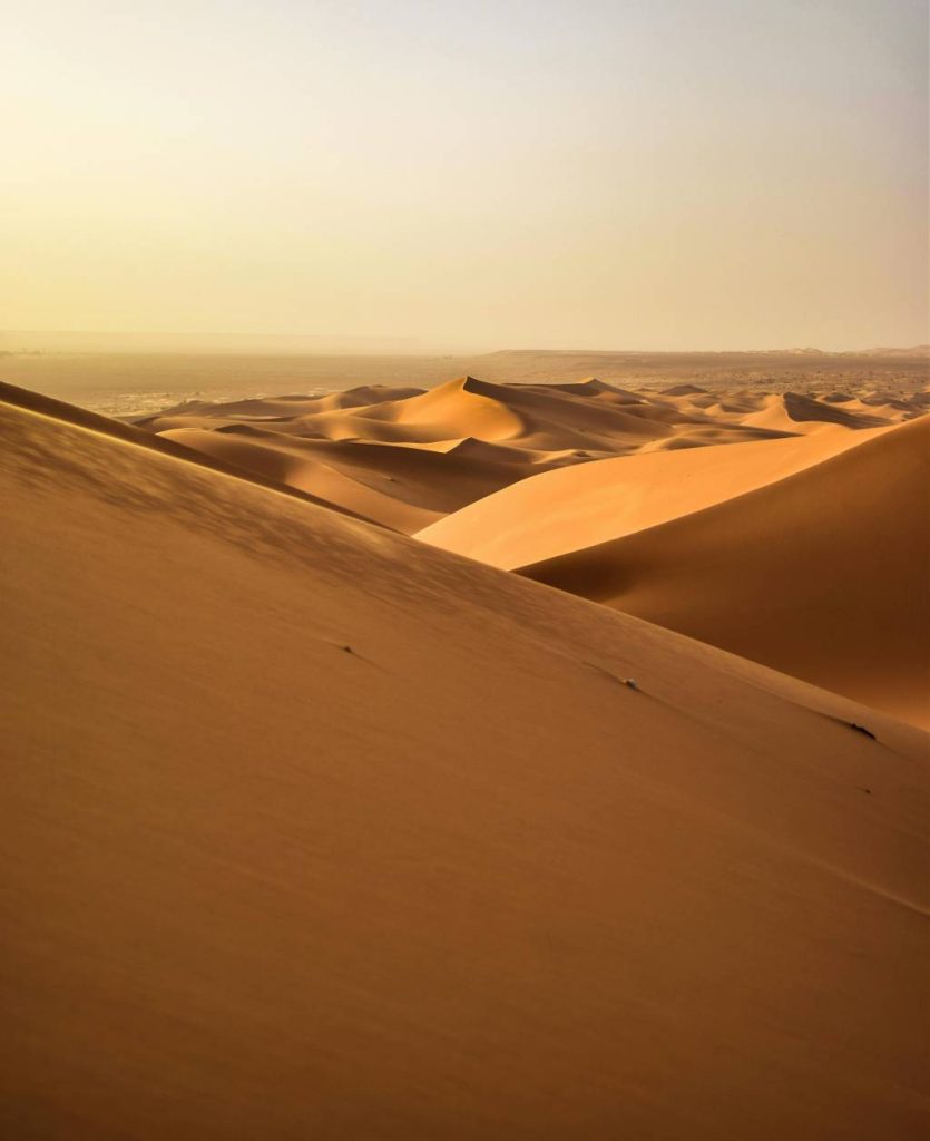 Le Sahara algérien : un désert à vivre avec Riwaya Travel