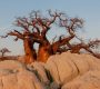Botswana hors des sentiers battus : les destinations secrètes à explorer