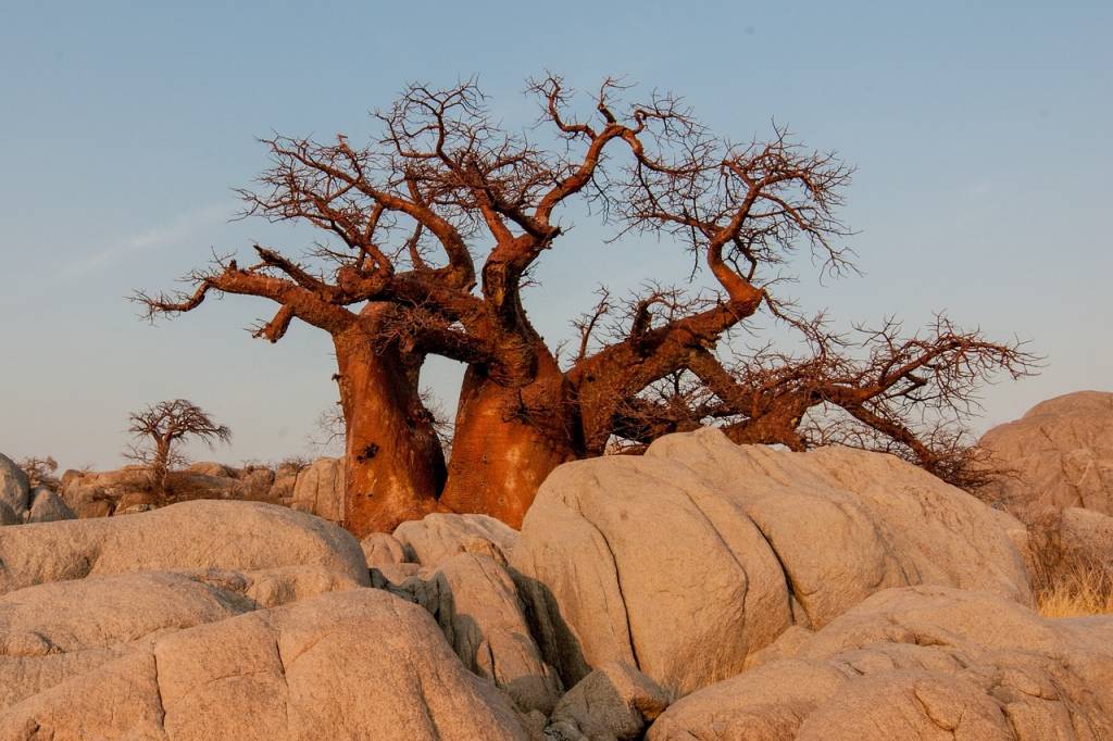 Botswana hors des sentiers battus : les destinations secrètes à explorer