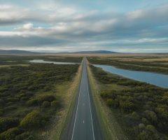 Road trip en Tasmanie : entre côtes sauvages, forêts primaires et faune endémique