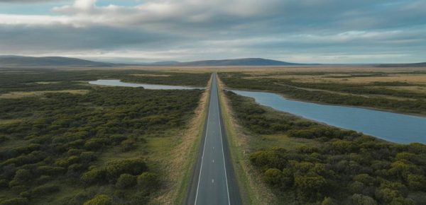 Road trip en Tasmanie : entre côtes sauvages, forêts primaires et faune endémique