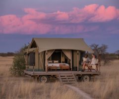 Voyage botswana luxe et bivouac sous les étoiles : l’annonce des nouveaux camps exclusifs de Hors Pistes Afrique Australe
