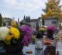 1 er novembre férié : est-il un jour chômé en France ?