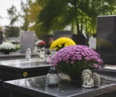 1er novembre ferie : signification, traditions et idées pour profiter de cette journée