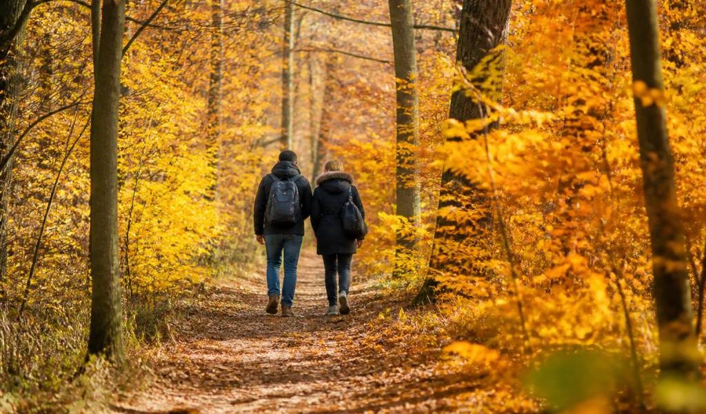 Jour férié 1er novembre : que faire, où partir et quelles activités prévoir