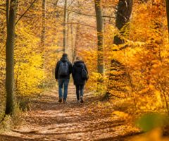 Jour férié 1er novembre : que faire, où partir et quelles activités prévoir