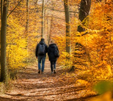 Jour férié 1er novembre : que faire, où partir et quelles activités prévoir