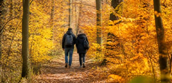 Jour férié 1er novembre : que faire, où partir et quelles activités prévoir