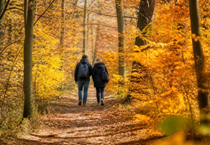 Jour férié 1er novembre : que faire, où partir et quelles activités prévoir
