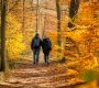 Jour férié 1er novembre : que faire, où partir et quelles activités prévoir