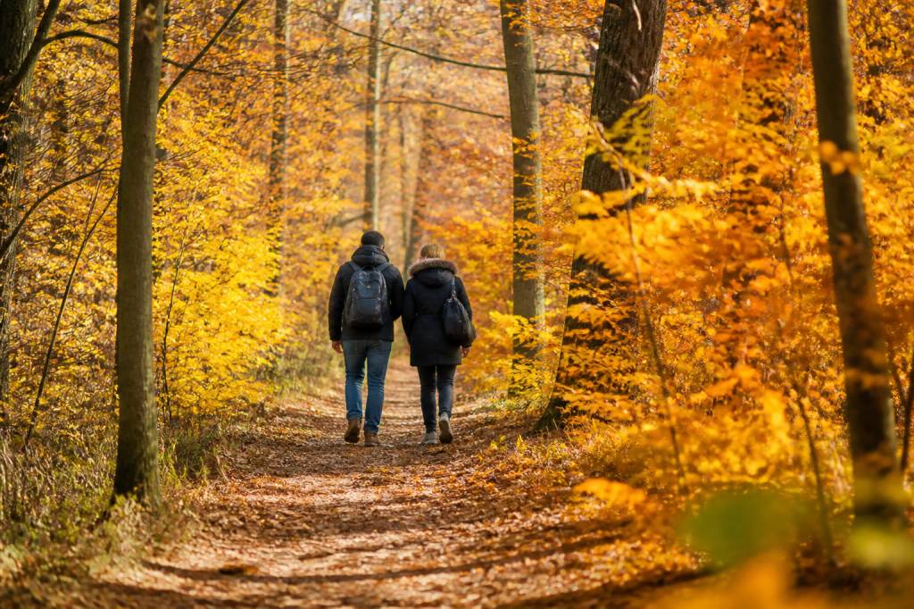 Jour férié 1er novembre : que faire, où partir et quelles activités prévoir