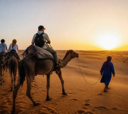 Balade chameau dans le désert : guide des plus belles expériences à vivre