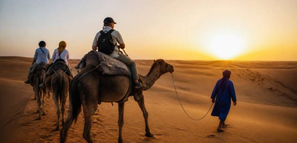 Balade chameau dans le désert : guide des plus belles expériences à vivre