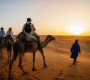 Balade chameau dans le désert : guide des plus belles expériences à vivre