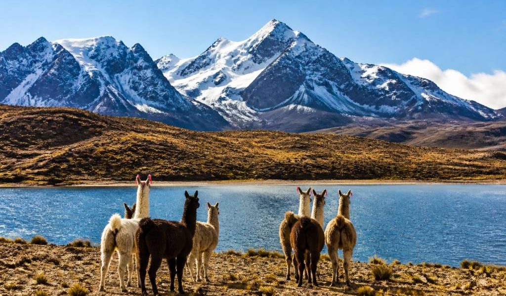 Bolivie voyage organisé : guide complet pour découvrir les incontournables du pays