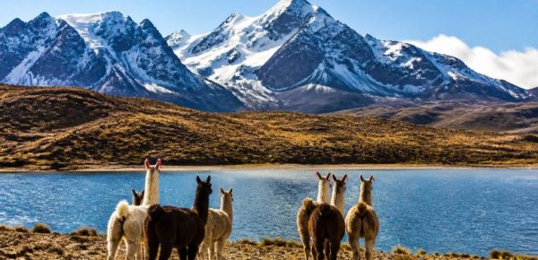 Bolivie voyage organisé : guide complet pour découvrir les incontournables du pays
