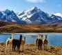 Bolivie voyage organisé : guide complet pour découvrir les incontournables du pays