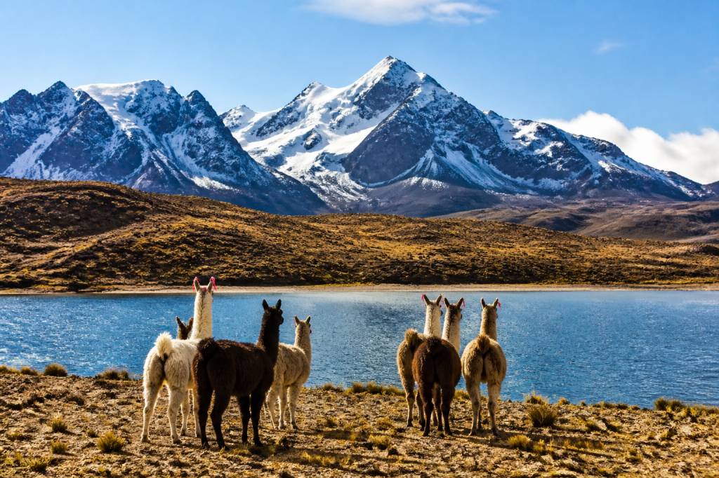 Bolivie voyage organisé : guide complet pour découvrir les incontournables du pays