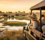 Prix safari botswana : guide complet pour voyager selon votre budget