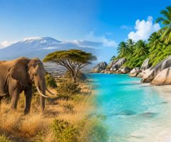 Kenya / Seychelles : guide de voyage entre safaris et plages paradisiaques