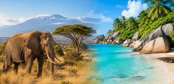 Kenya / Seychelles : guide de voyage entre safaris et plages paradisiaques