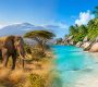 Kenya / Seychelles : guide de voyage entre safaris et plages paradisiaques