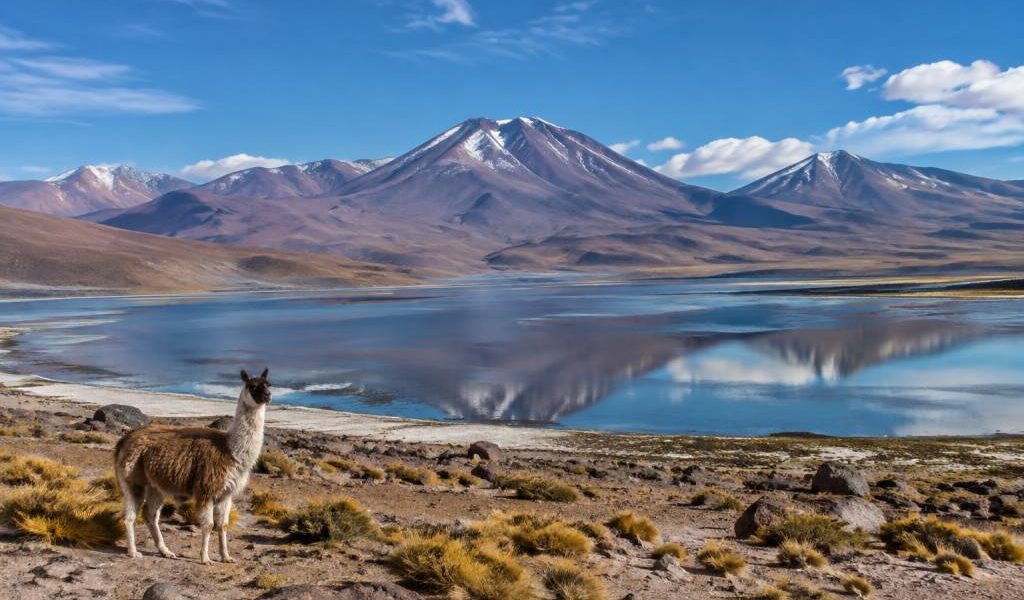 Altiplano Chili : guide complet des paysages, villages et activités incontournables