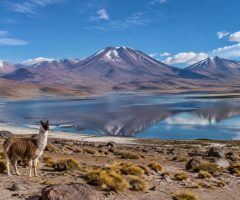 Altiplano Chili : guide complet des paysages, villages et activités incontournables