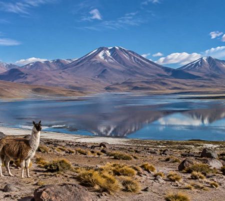 Altiplano Chili : guide complet des paysages, villages et activités incontournables