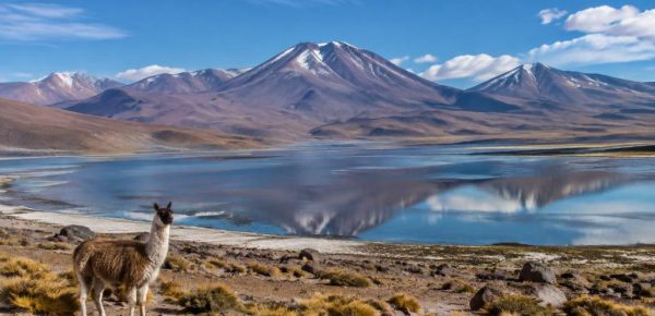 Altiplano Chili : guide complet des paysages, villages et activités incontournables
