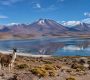 Altiplano Chili : guide complet des paysages, villages et activités incontournables