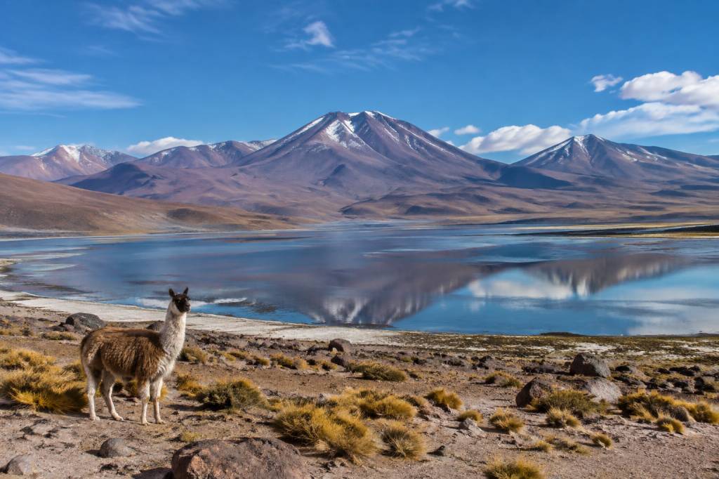 Altiplano Chili : guide complet des paysages, villages et activités incontournables