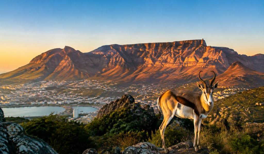 Afrique du Sud en août : météo, activités et conseils pour votre voyage