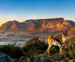 Afrique du Sud en août : météo, activités et conseils pour votre voyage
