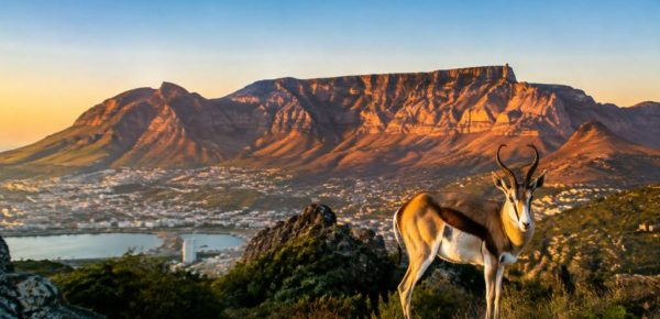 Afrique du Sud en août : météo, activités et conseils pour votre voyage