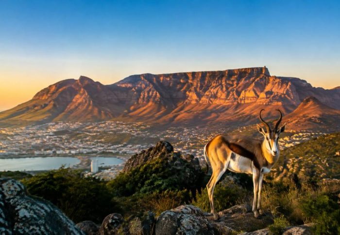 Afrique du Sud en août : météo, activités et conseils pour votre voyage