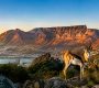 Afrique du Sud en août : météo, activités et conseils pour votre voyage