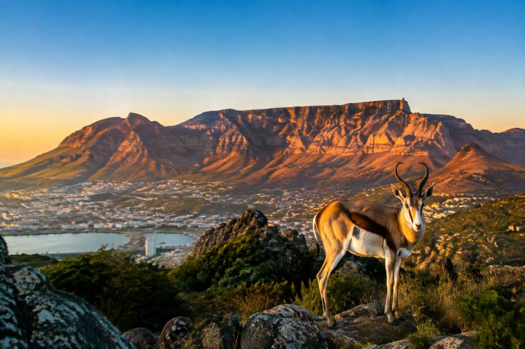Afrique du Sud en août : météo, activités et conseils pour votre voyage