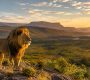 Afrique du Sud en octobre : météo, activités et lieux à découvrir